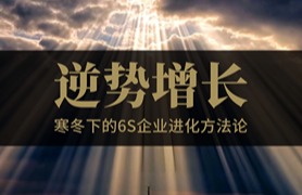 企业6S双域转型解决方案